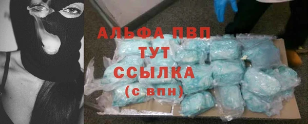 экстази Бородино