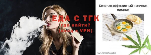 МДПВ Инсар