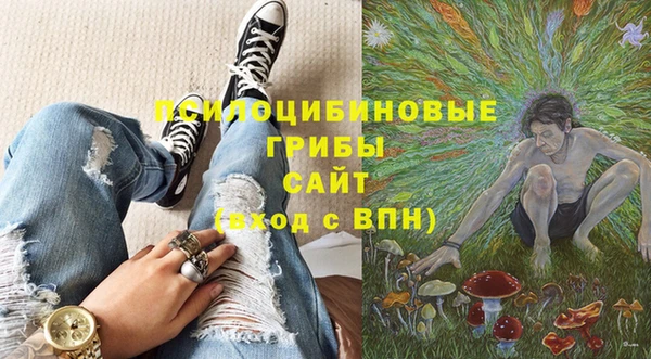 экстази Бородино