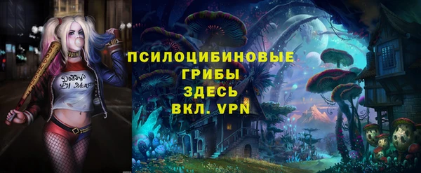 экстази Богородск
