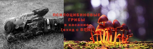 хмурый Бронницы