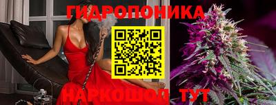 мяу мяу мука Бузулук