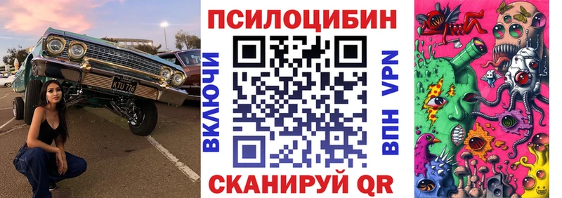 где можно купить   Гатчина  Галлюциногенные грибы мухоморы 
