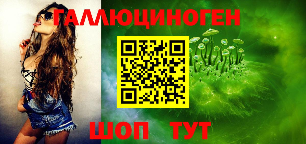 ТГК Гатчина
