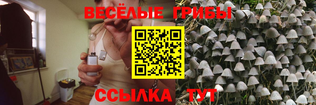 Псилоцибиновые грибы прущие грибы  Галлюциногенные грибы GOLDEN TEACHER  Гатчина 