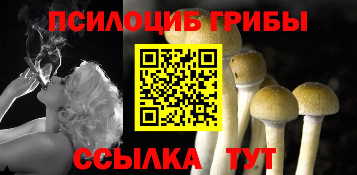 Гатчина  Галлюциногенные грибы Psilocybine cubensis  Галлюциногенные грибы Psilocybe  Вход с VPN 