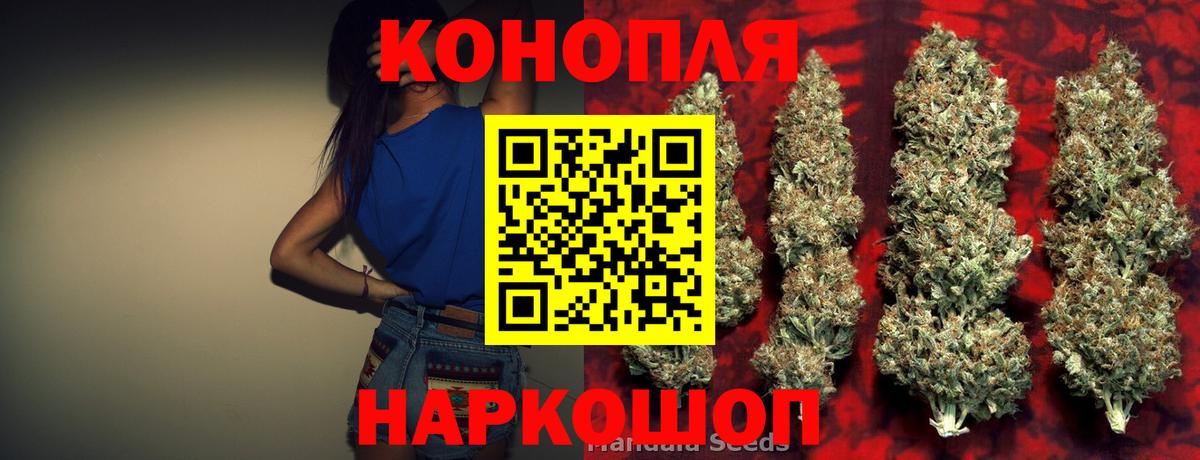 Гатчина  Бошки Шишки AK-47  Шишки марихуана SATIVA & INDICA  Конопля тримм  Вход с VPN 